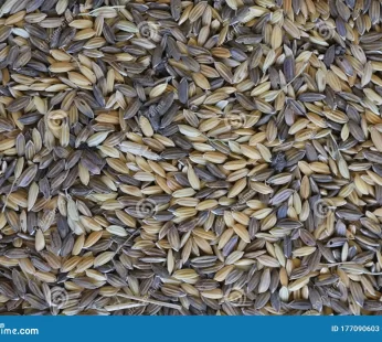 Red Rice – Karunkuruvai – 1kg