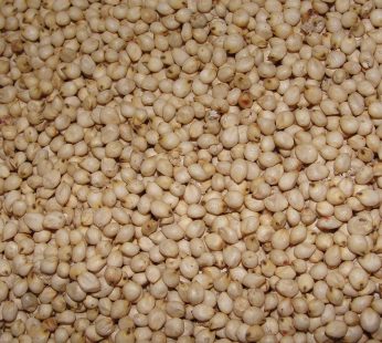 Vellai Solam (White Sorgum) – 250g
