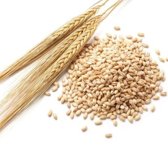 Barley 250g