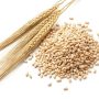 Barley 250g